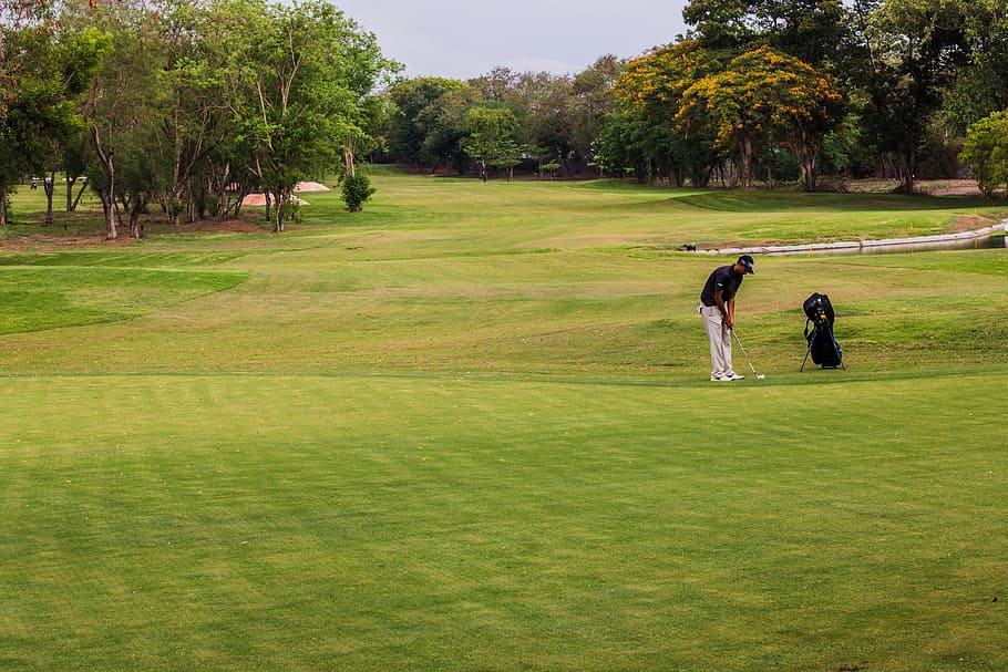 an image of the golf course with a golf player on the field