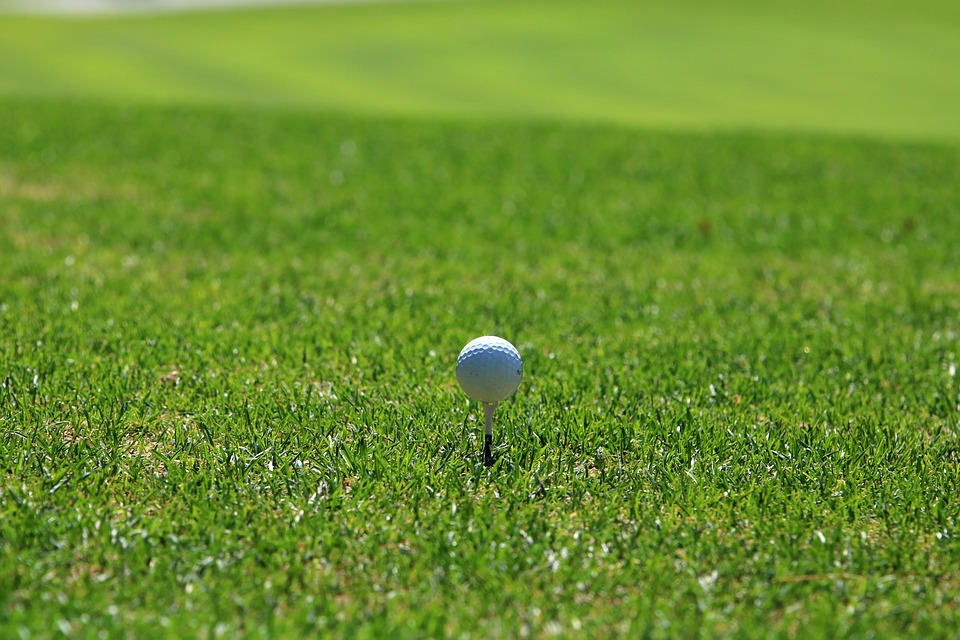 a photo of golf ball in the golf course in Southern Highlands, Las Vegas, NV